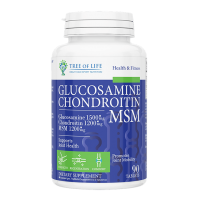 GLUCOSAMINE & CHONDROITIN MSM (90таб)